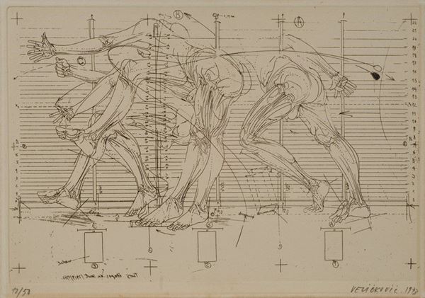 Vladimir Velickovic : Studi anatomici   (1973)  - Acquaforte - Asta GRAFICA ED EDIZIONI - Galleria Pananti Casa d'Aste