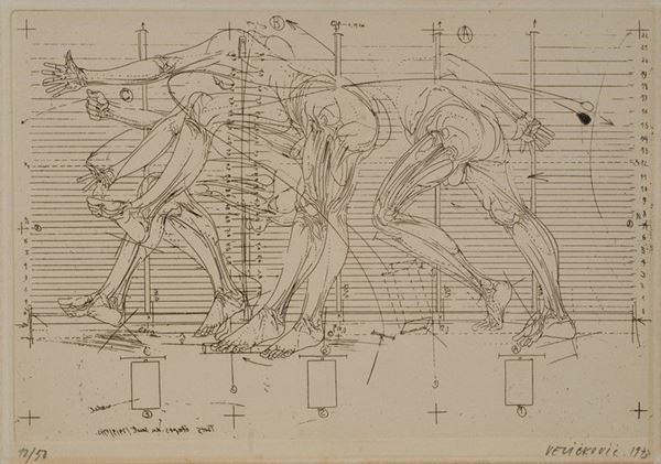 Vladimir Velickovic - Studi anatomici 