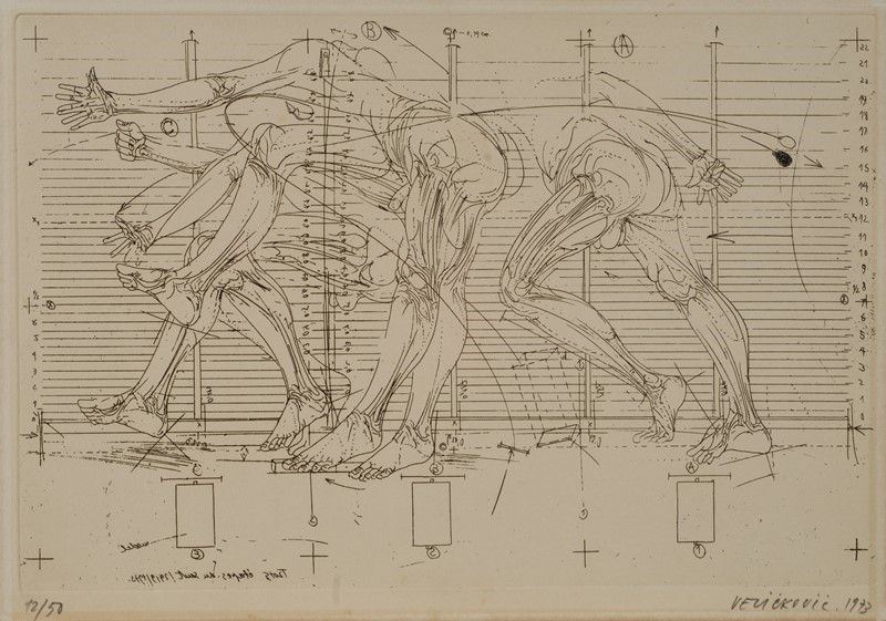 Vladimir Velickovic - Studi Anatomici