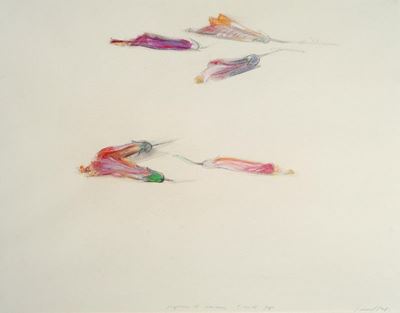 Fiori