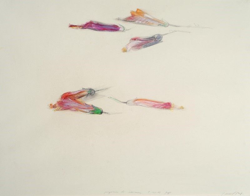 Piero Guccione - Fiori
