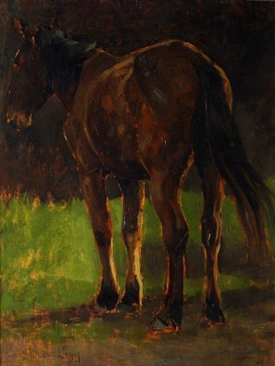 Cavallo
