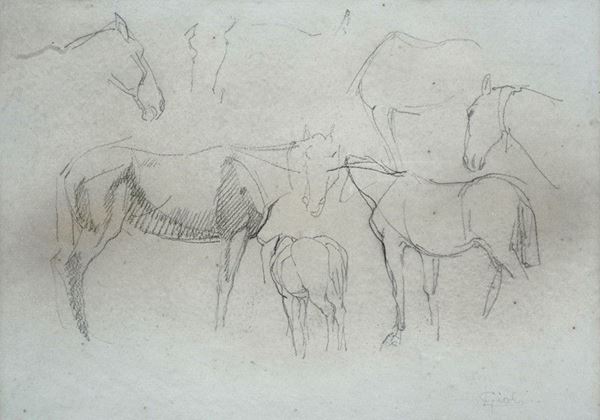 Luigi Gioli - Studi di cavalli