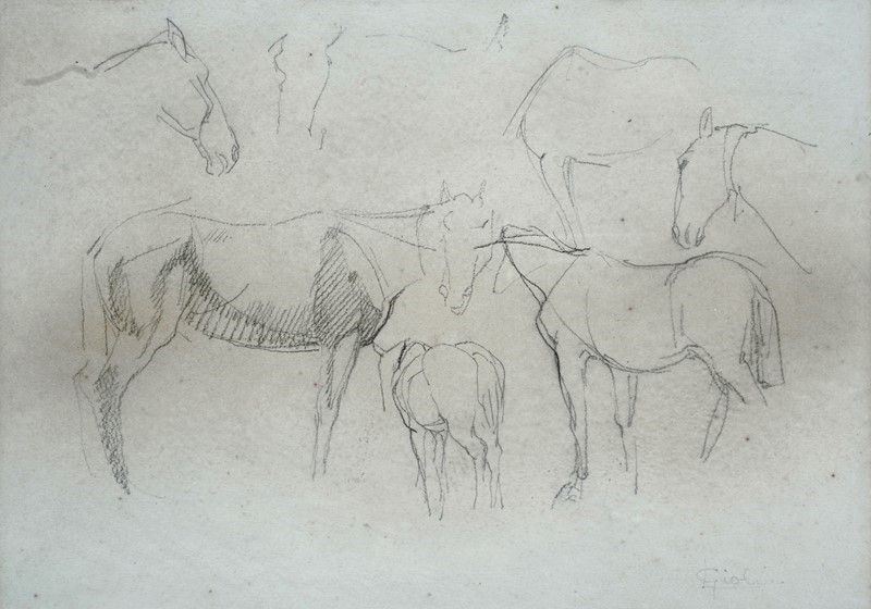 Luigi Gioli - Studi di Cavalli