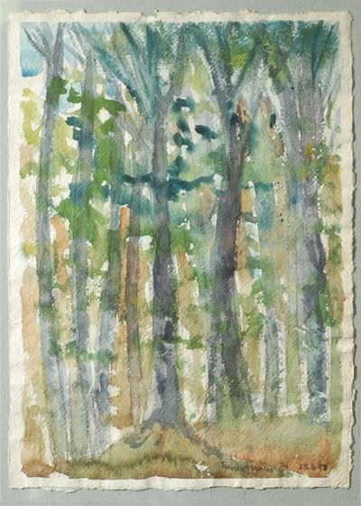Foresta