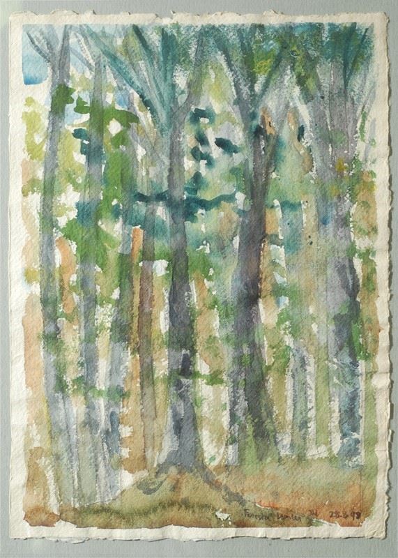 Anonimo, XX sec. - Foresta