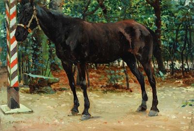 Cavallo