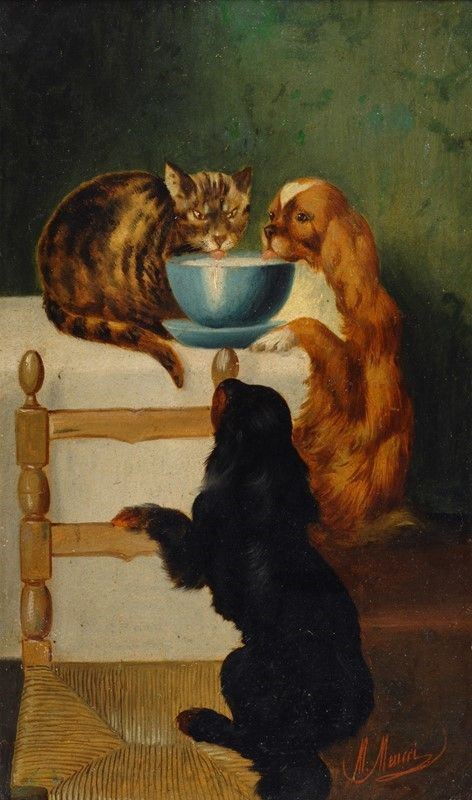 Michelangelo Meucci : Cani con gatto  - Olio su cartone - Auction AUTORI DEL XIX E XX SEC - II - Galleria Pananti Casa d'Aste