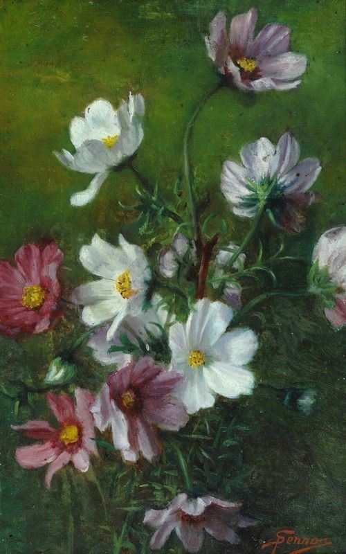 Pietro Senno - Composizione con fiori