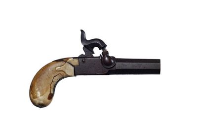 Pistola da Tasca a Luminello
