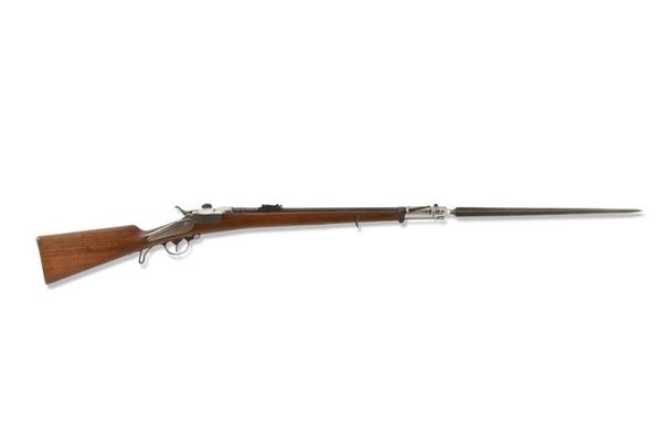 Carabina da cacciatore con baionetta / A LIGHT INFANTRY CARBINE WITH BAYONET
