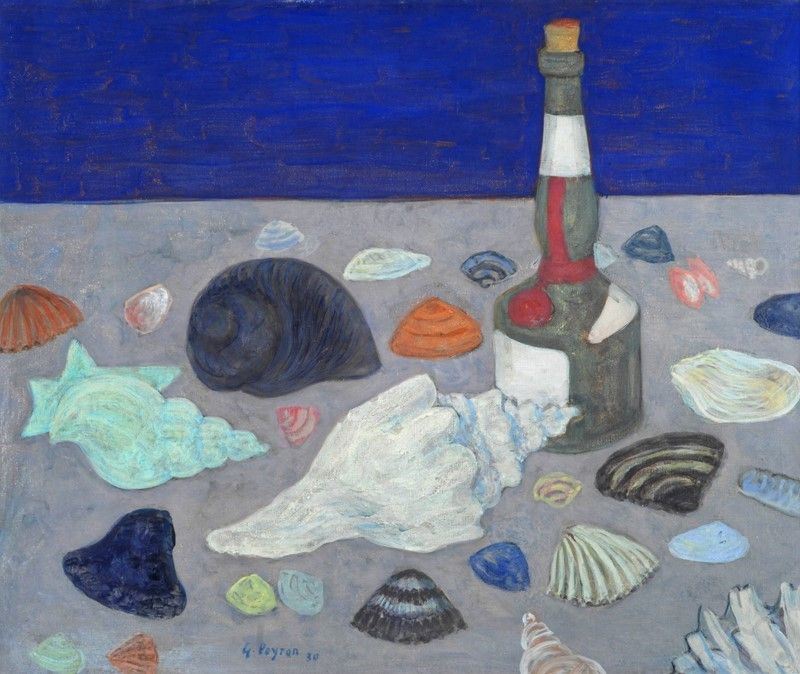 Guido Peyron - Natura Morta con Conchiglie e Bottiglia