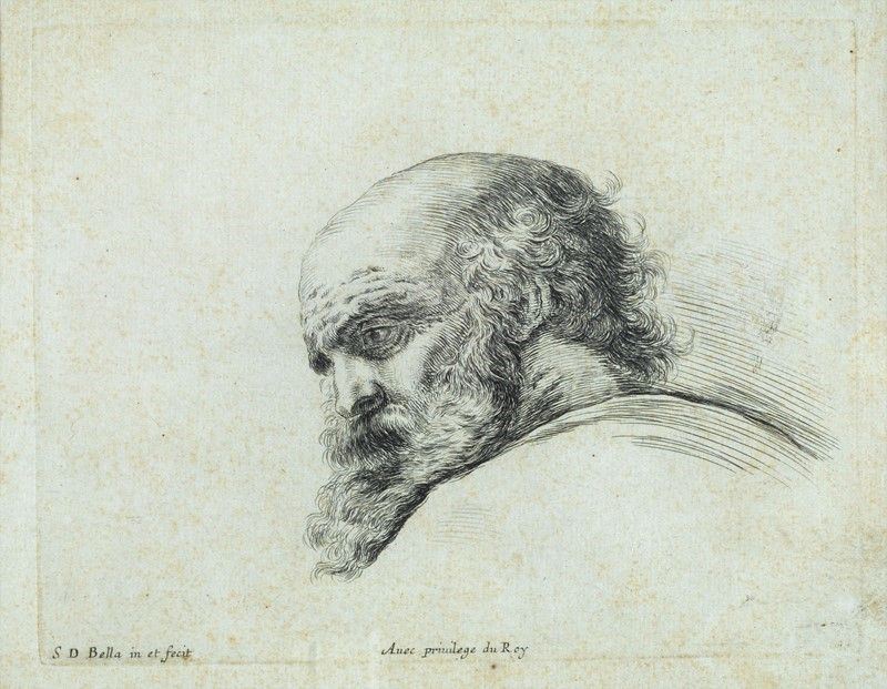 Stampa con Testa di Vecchio