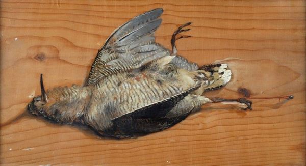 Anonimo, XX sec. : Beccaccia alla parete   - Olio su tavola - Asta ARREDI E OGGETTISTICA - Galleria Pananti Casa d'Aste