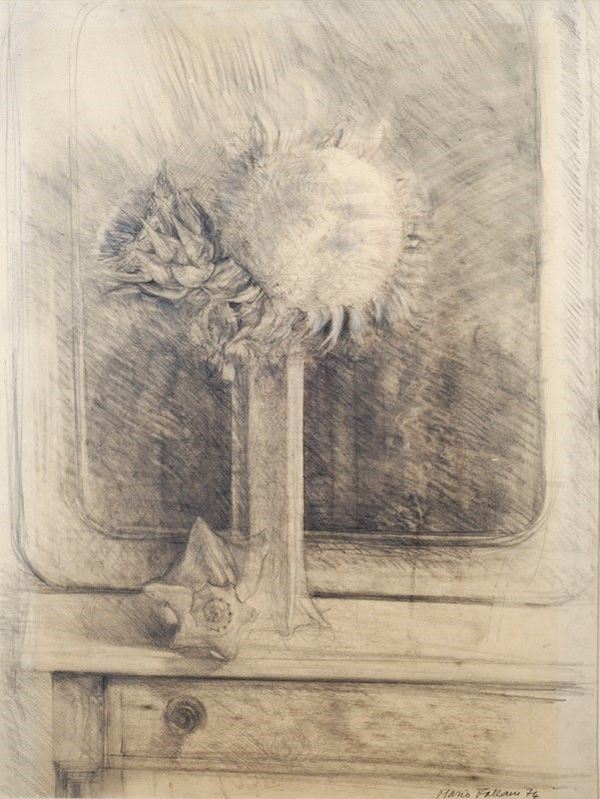Mario Fallani : Vaso di fiori con conchiglia  (1974)  - Matita su carta - Asta Arte Moderna e Contemporanea - III - Galleria Pananti Casa d'Aste