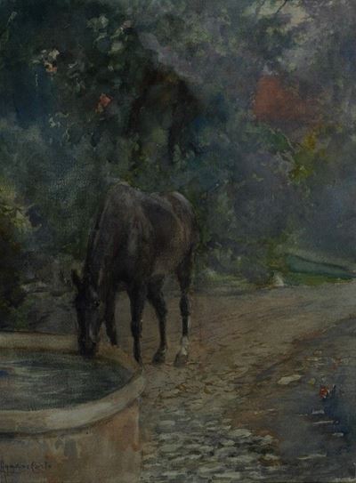 Cavallo All'abbeveraggio