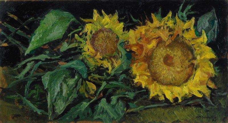 Fausto Maria Liberatore - Girasoli