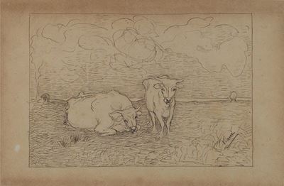 Buoi nel Paesaggio