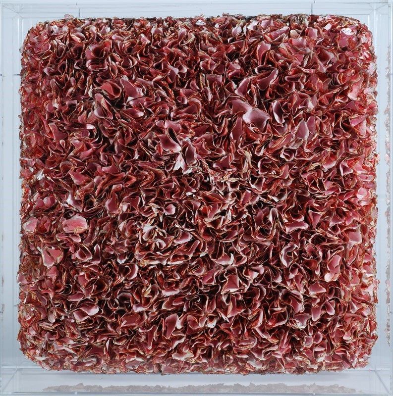 Yi Zhuang Hong - Senza Titolo