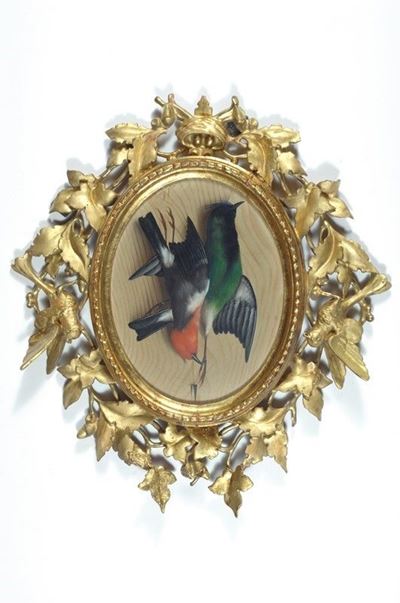 Natura Morta