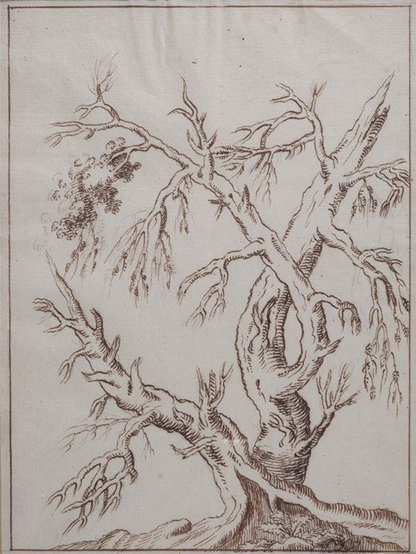 Giovanni Santini : albero  - inchiostro su carta - Asta ARREDI E OGGETTISTICA - Galleria Pananti Casa d'Aste