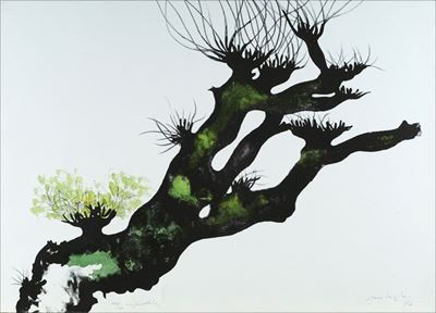 Albero