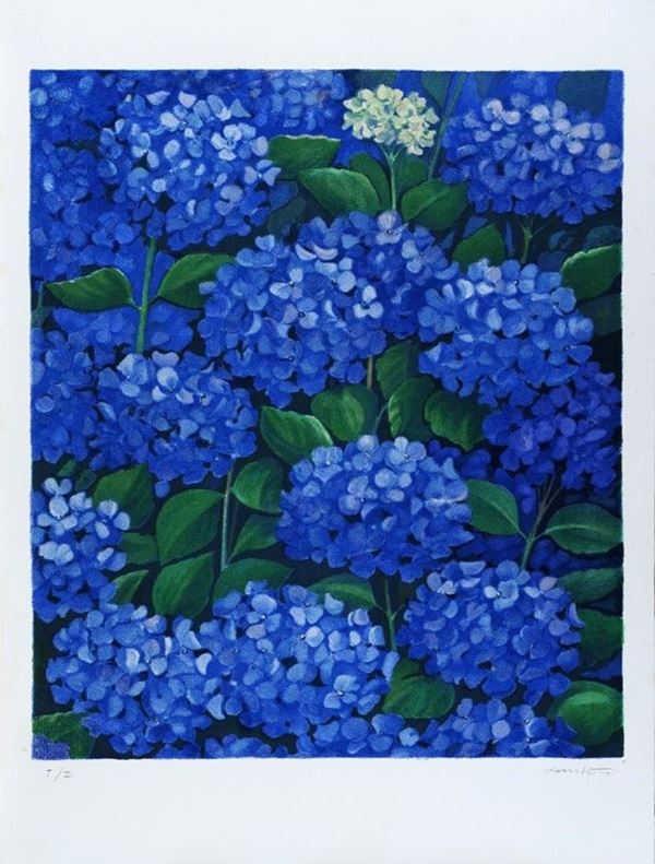 Giuseppe Lambertucci : Ortensie  - Litografia - Asta GRAFICA ED EDIZIONI - Galleria Pananti Casa d'Aste