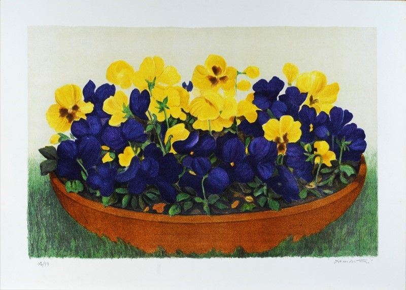 Giuseppe Lambertucci - Viole