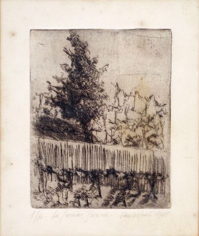 La Giovane Quercia