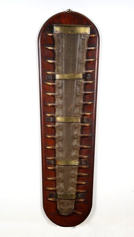 Rostro di pesce sega  (Tropici, XIX Sec.)  - Auction ARMI ANTICHE, MILITARIA, LIBRI - Galleria Pananti Casa d'Aste