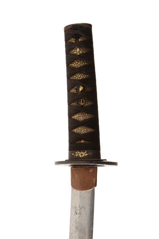 Wakizashi Shinto