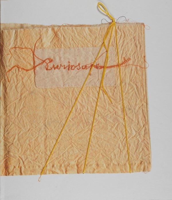 Maria Lai - Curiosape