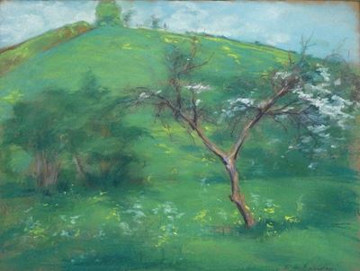 Pruno in Fiore