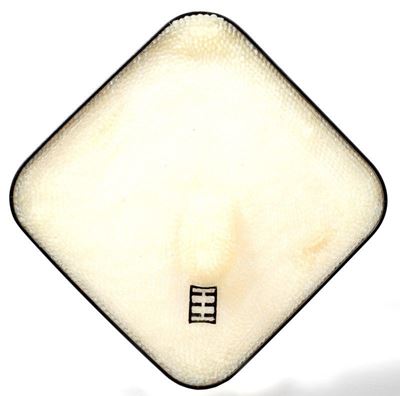 Dermascheletro