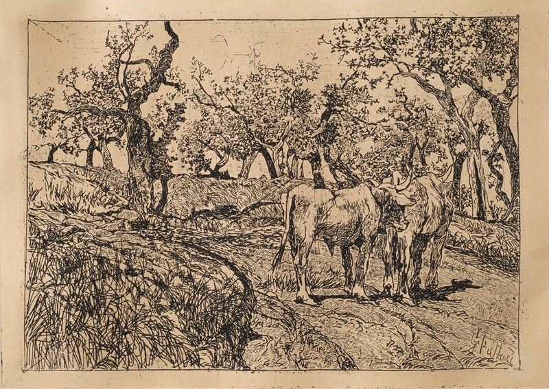Giovanni Fattori - L'uliveta