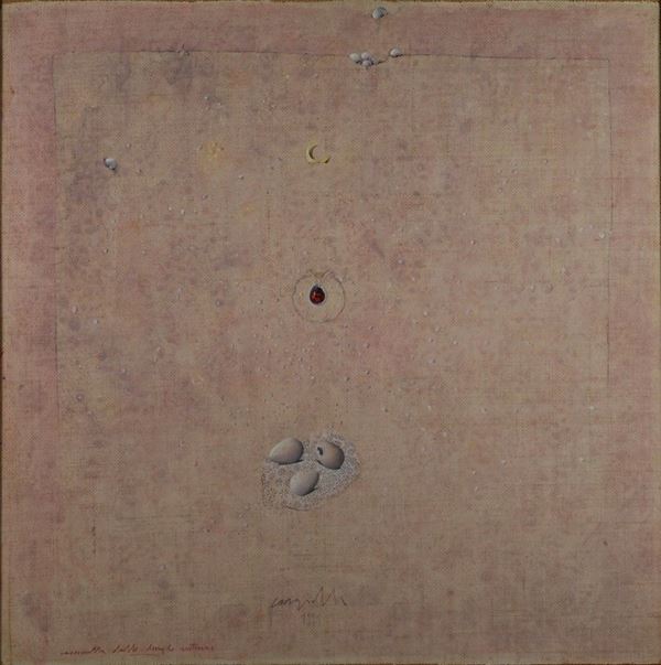 Claudio Cargiolli - Coccinella dalle lunghe antenne