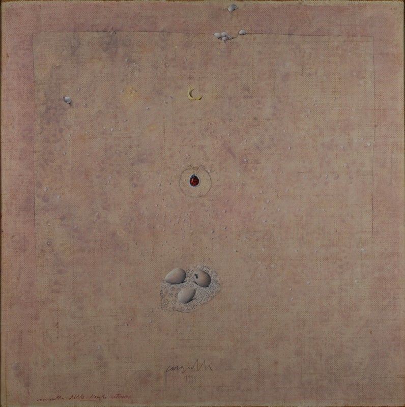 Claudio Cargiolli - Coccinella dalle Lunghe Antenne
