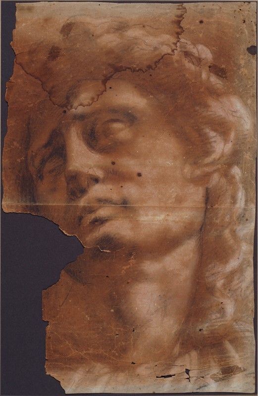 Jacopo Robusti Tintoretto - Studio della testa di Giuliano dé Medici