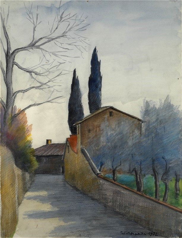 Nino Tirinnanzi - Campagna Fiorentina