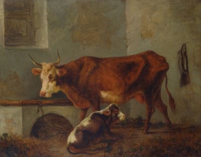 Mucca e Vitello nella Stalla