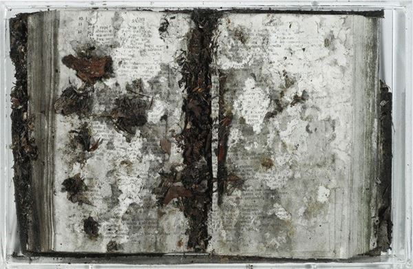 Sebastiano Balbo : Salmi - Reperti Contemporanei  (1950-2017)  - Libro e foglie essiccate - Asta Arte Moderna e Contemporanea - III - Galleria Pananti Casa d'Aste