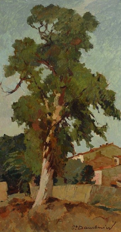 Carlo Domenici - Albero secolare