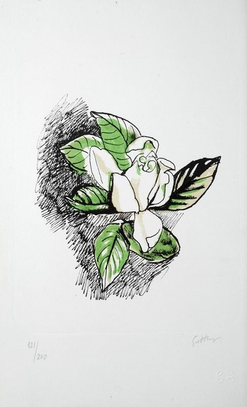 Renato Guttuso - Fiore