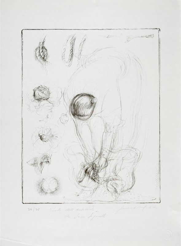 Anonimo, XX sec. : Senza titolo  (1967)  - Litografia  - Asta GRAFICA, MULTIPLI ED EDIZIONI - Galleria Pananti Casa d'Aste