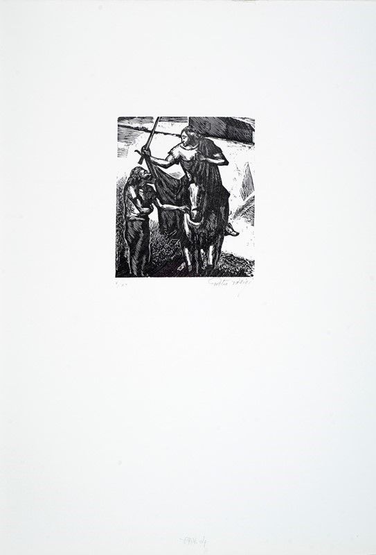 Pietro Parigi - Cartella Contenente Undici Tavole Xilografiche da una Serie di Dodici