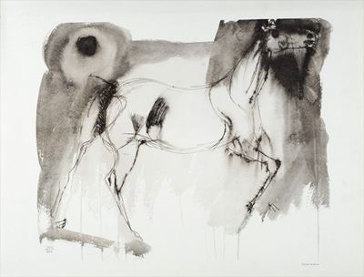 Cavallo