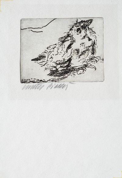 Passerotto