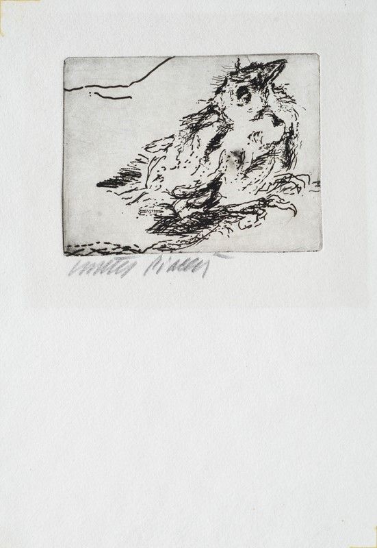 Walter Piacesi - Passerotto