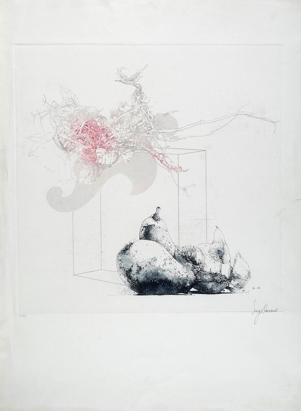 Anonimo, XX sec. : Natura morta  - Acquaforte Acquatinta - Asta GRAFICA, MULTIPLI ED EDIZIONI - Galleria Pananti Casa d'Aste