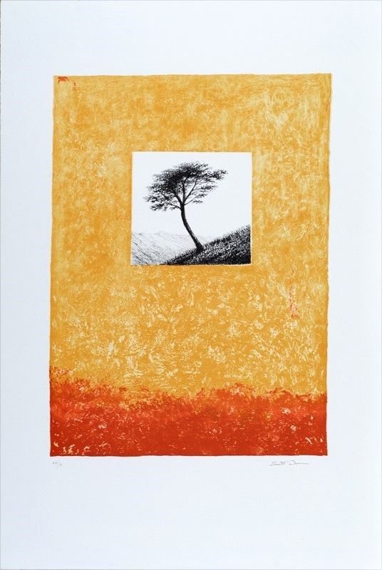 Scott Duce : Senza titolo  - Auction GRAFICA ED EDIZIONI - Galleria Pananti Casa d'Aste